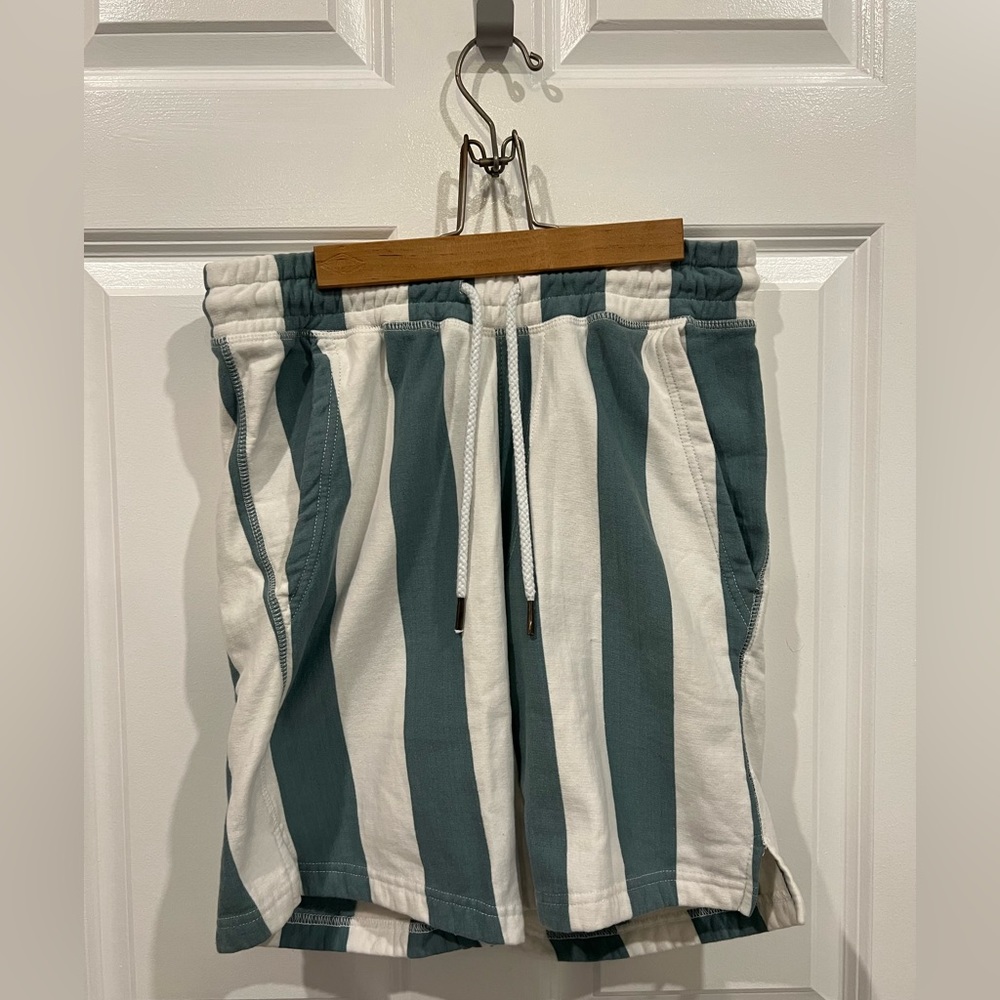 Free Planet NYC to Malibu Men’s Medium Shorts Green Teal White Striped Pocket